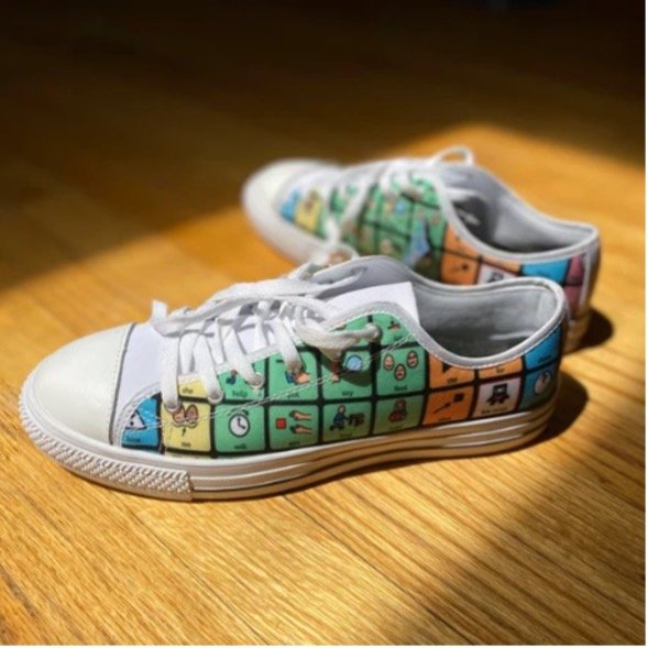 classic low-top skate shoe covered by a grid of symbols