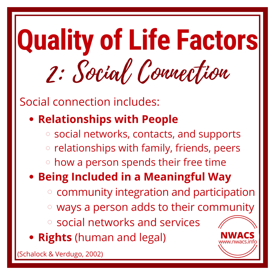 Infographic about quality of life factors: Social Connection, which includes relationships with people, being included in a meaningful way, and rights
