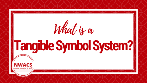 What is a Tangible Symbol System?